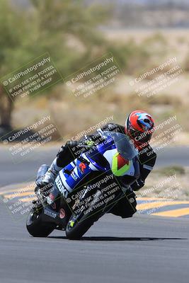 media/May-14-2023-SoCal Trackdays (Sun) [[024eb53b40]]/Turn 5 Tree of Life (1125am)/